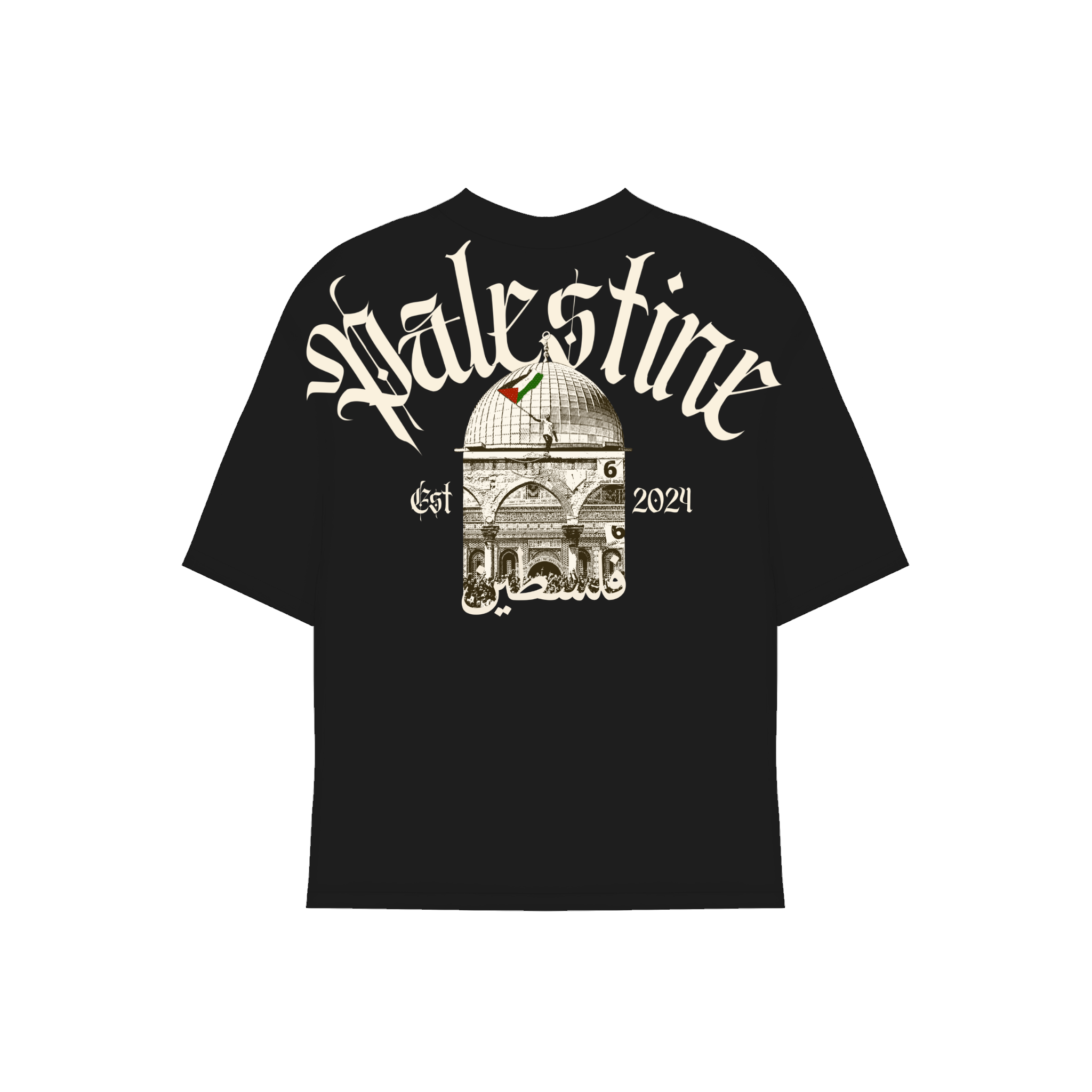 Palestine tshirt